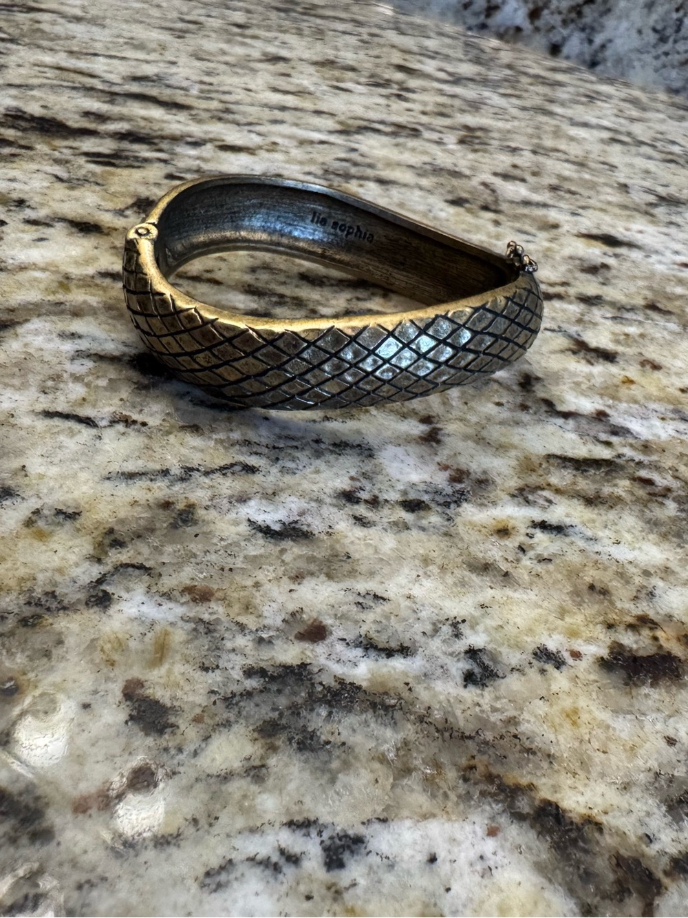 Lia Sophia Two-Tone Snake Scale Bangle - Gold and Antique Silver Finish